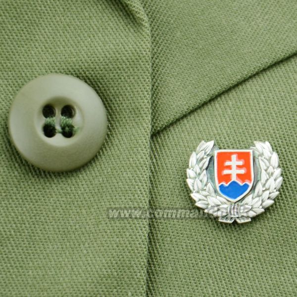 Odznak SK Slovensko s ratolesťou