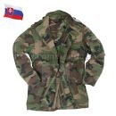 Obrázok 1. Slovenská armádna párka zateplená Kongo SK vz 97