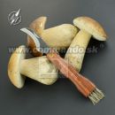 Martinez Albainox Hubársky nôž 10577 Mushrooms Knife