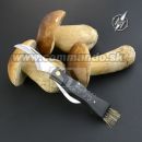 Martinez Albainox Hubársky nôž 8v1 10592 Mushrooms Knife