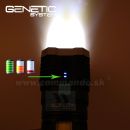 GENETIC Systems 5W 500 lumen USB Flashlite