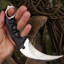 Karambit bojový nôž Silver Dragon's Tooth