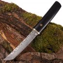 Damaškový nôž Fine Wood 32702 Damascus 73 Layers