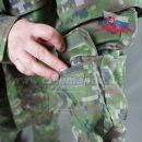 Obrázok 5. Digital BLÚZA Woodland SK 2007 CPU