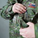 Obrázok 6. Digital BLÚZA Woodland SK 2007 CPU