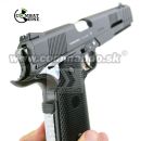 Airsoft Pistol Combat Zone Para P11 1911 CO2 GNB 6mm