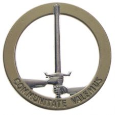 Odznak na baret - 1. NL/D-zboru