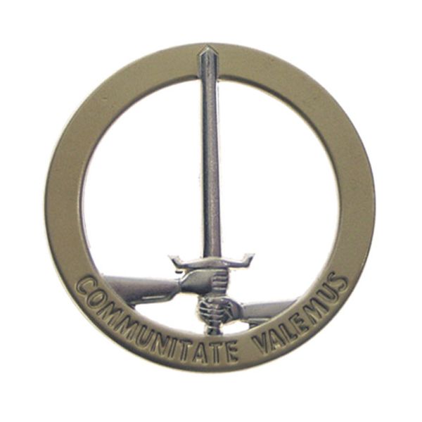 Odznak na baret - 1. NL/D-zboru