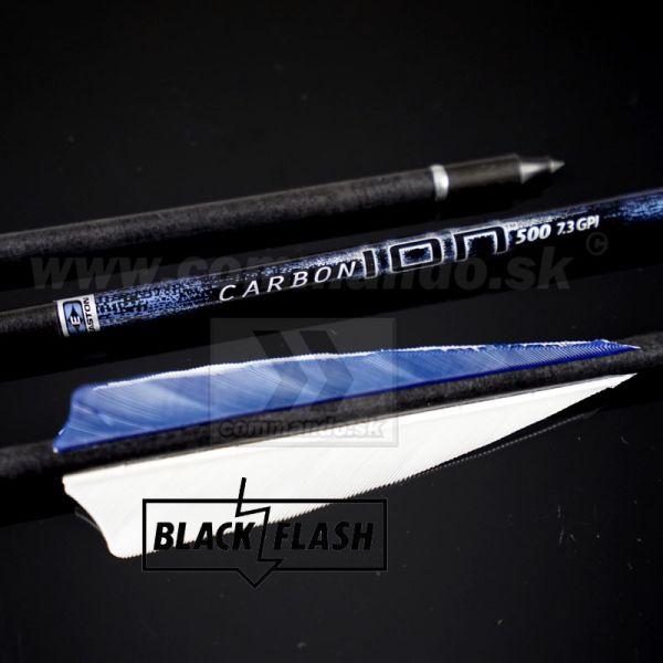 Šíp EASTON CARBON ION 32" pre luk, Carbon arrow