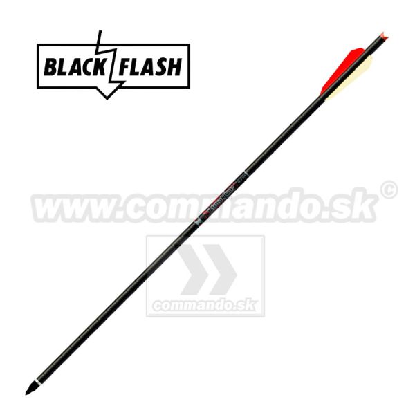 Šipy EASTON BLOODLINE pre kušu karbónový 22" carbon arrows