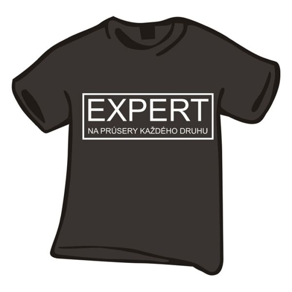 Expert
